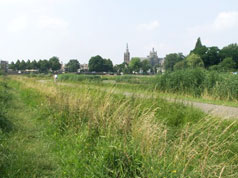 natuurgebied Het Bossche Broek Den Bosch 's-Hertogenbosch