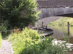 rivier de Dommel in Den Bosch, 's-Hertogenbosch