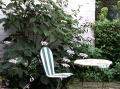 buiten zitten op het terras van de b&b