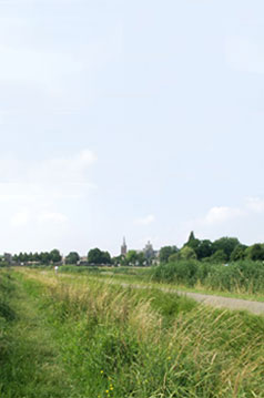 natuurgebied Het Bossche Broek Den Bosch 's-Hertogenbosch